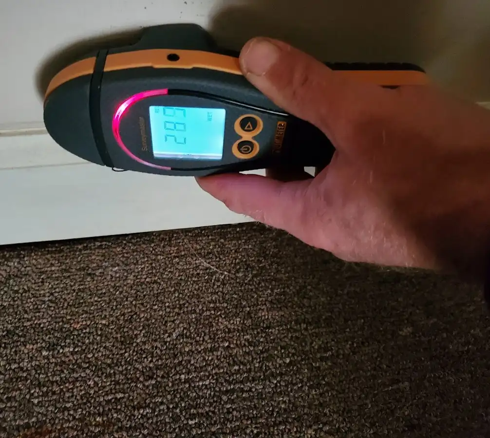 Moisture detection at baseboard during Sewage Cleanup & Sanitation in Plumsted